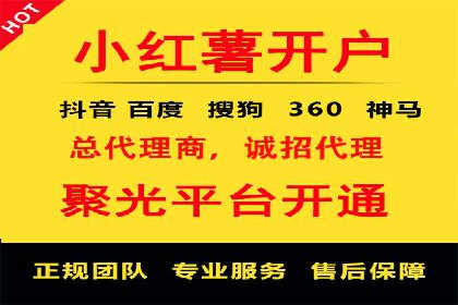 竞价排名中的数据分析和优化案例